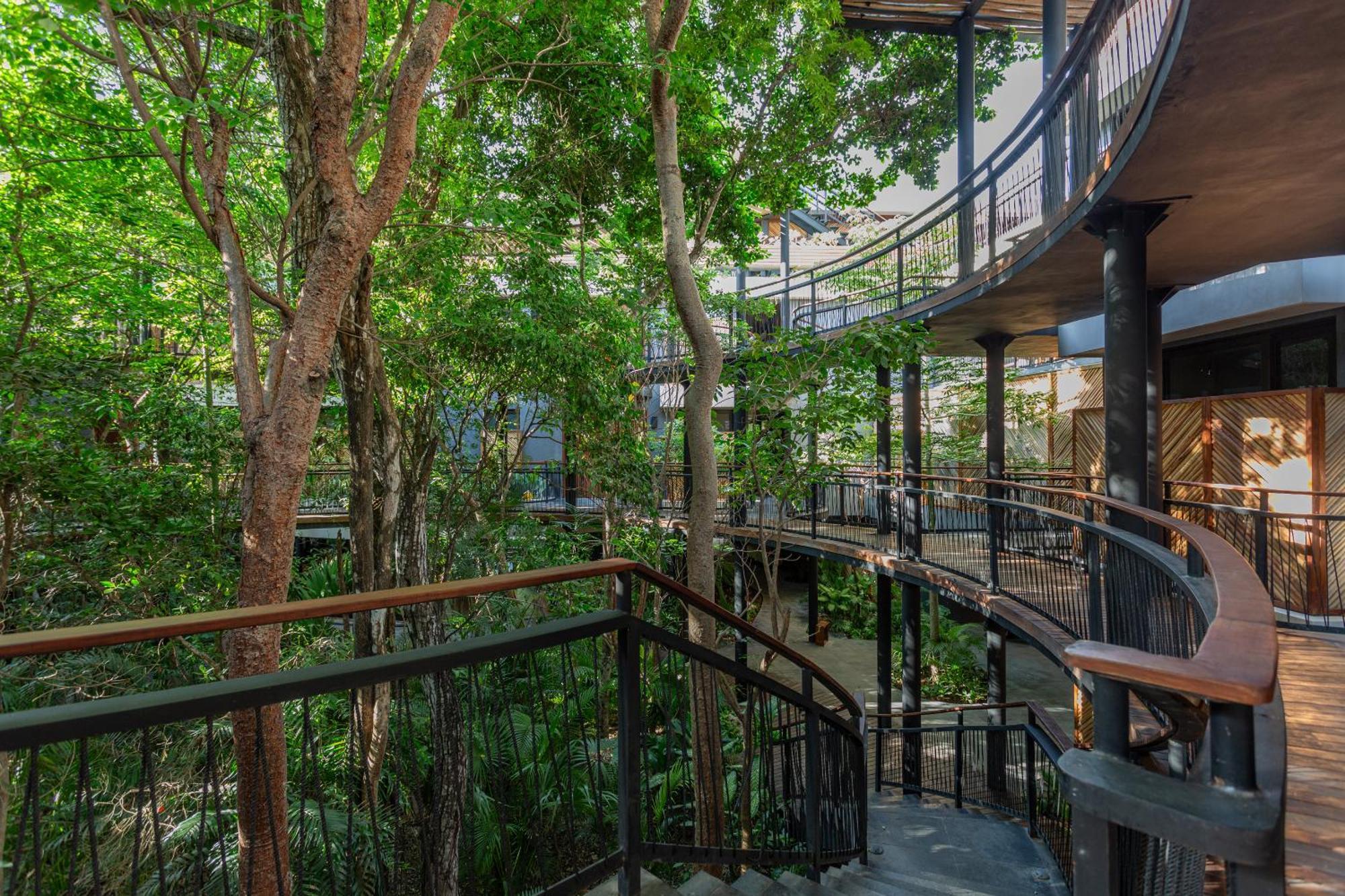 New 5 Star Condo-infinity And Cenote Pool *