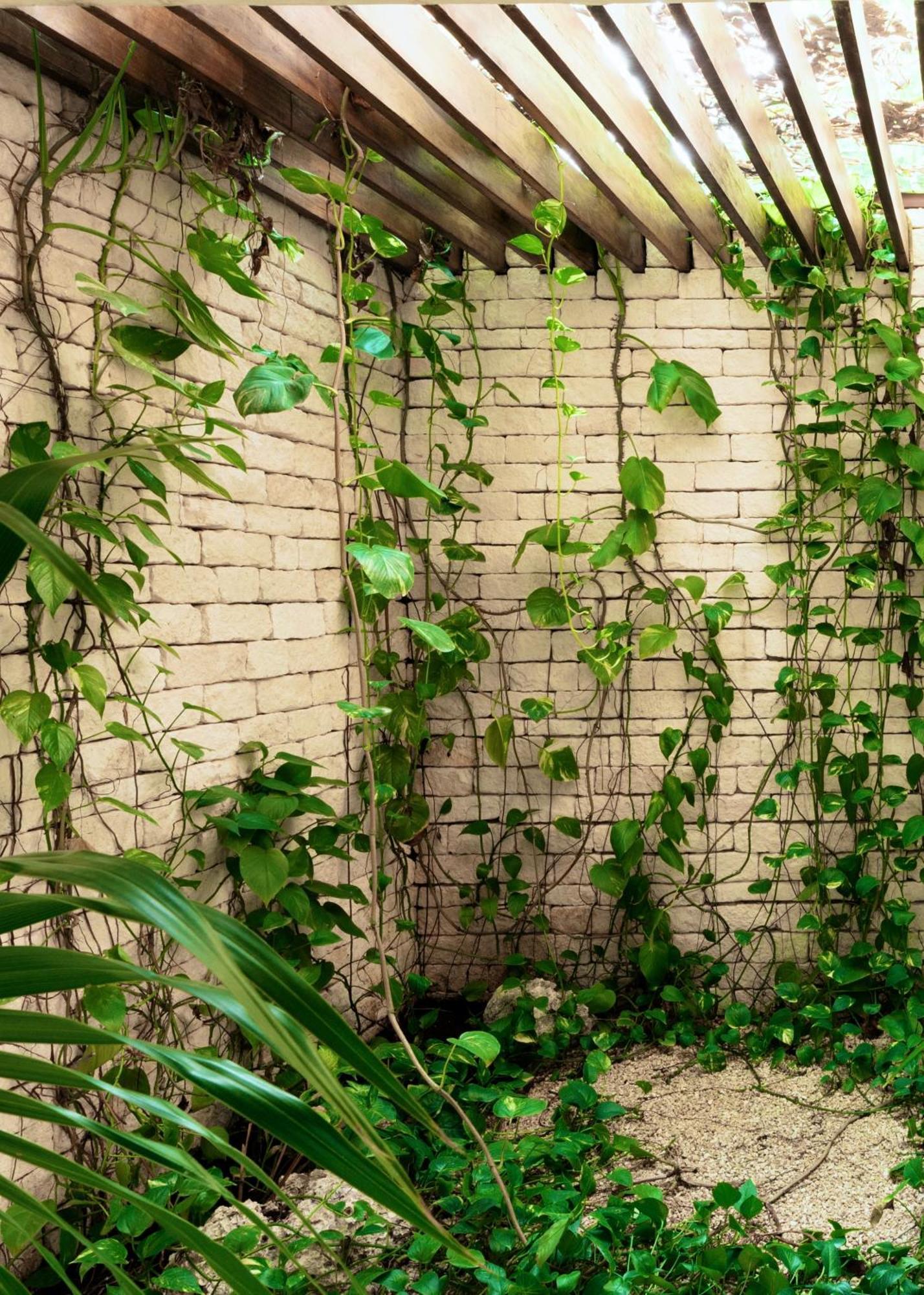 Pousada Jungle Keva & Venue Tulum