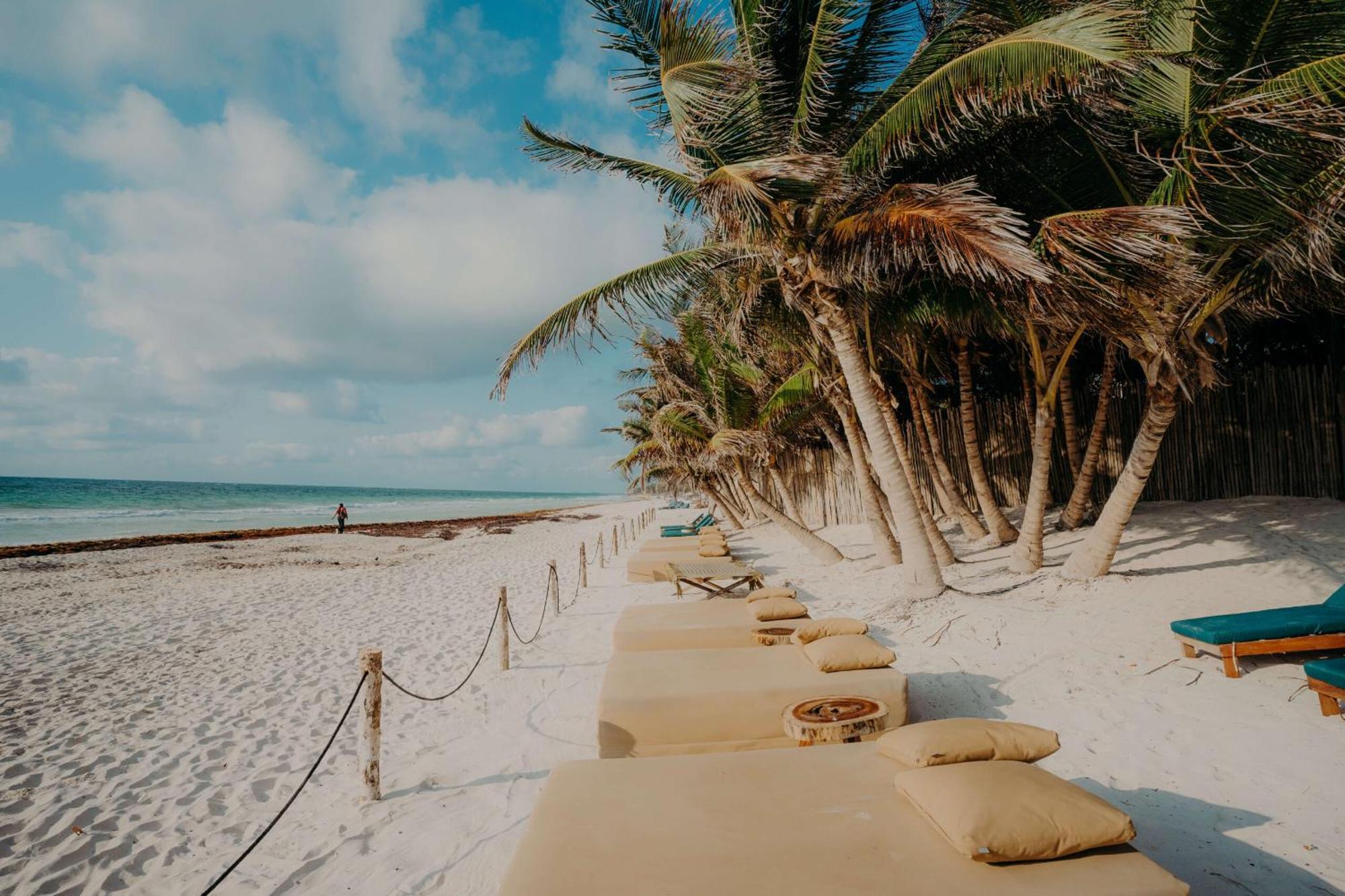 Luxury Townhouse With Private Pool In La Veleta Apartment Tulum
