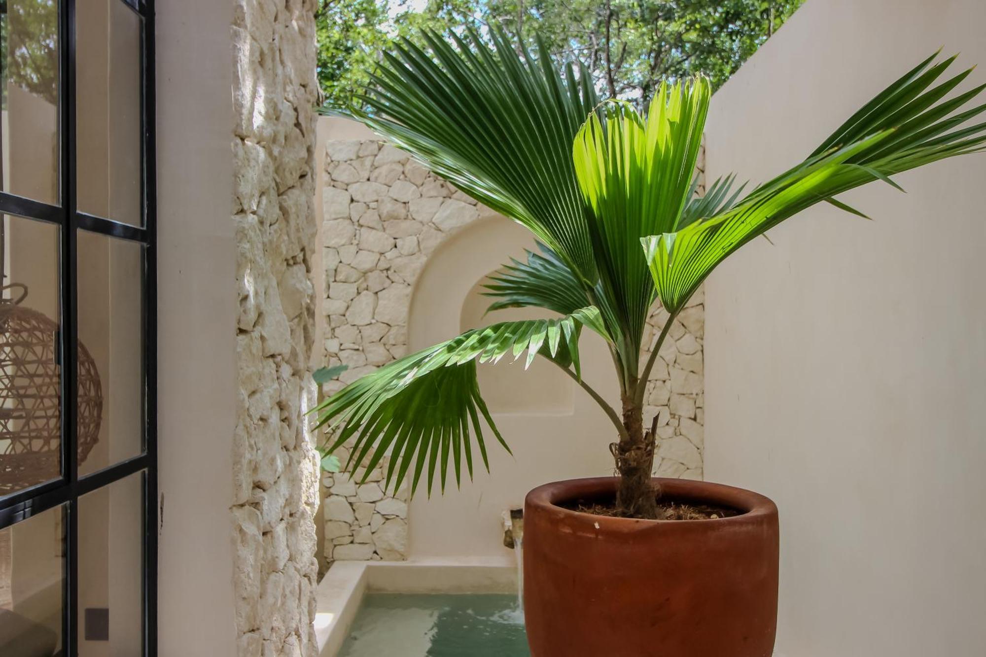 Luxury Townhouse With Private Pool In La Veleta Apartment Tulum