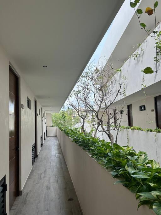 Apartment Loft Deluxe Tulum