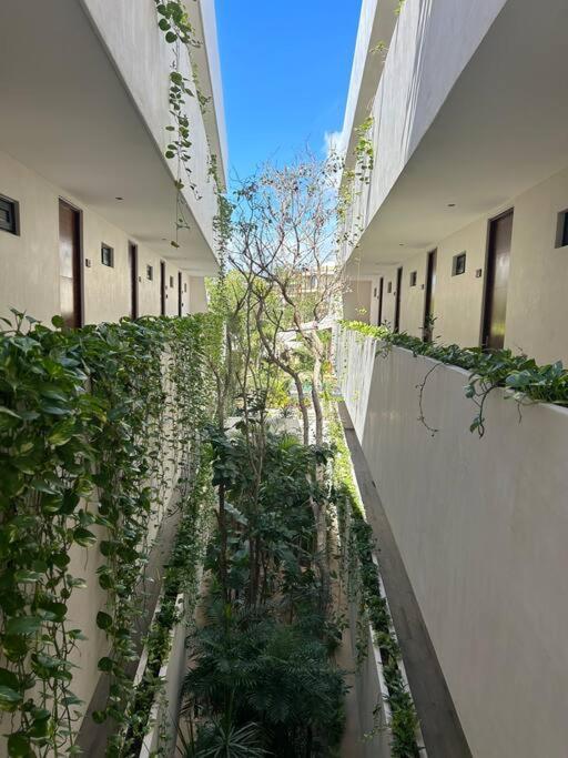 Apartment Loft Deluxe *