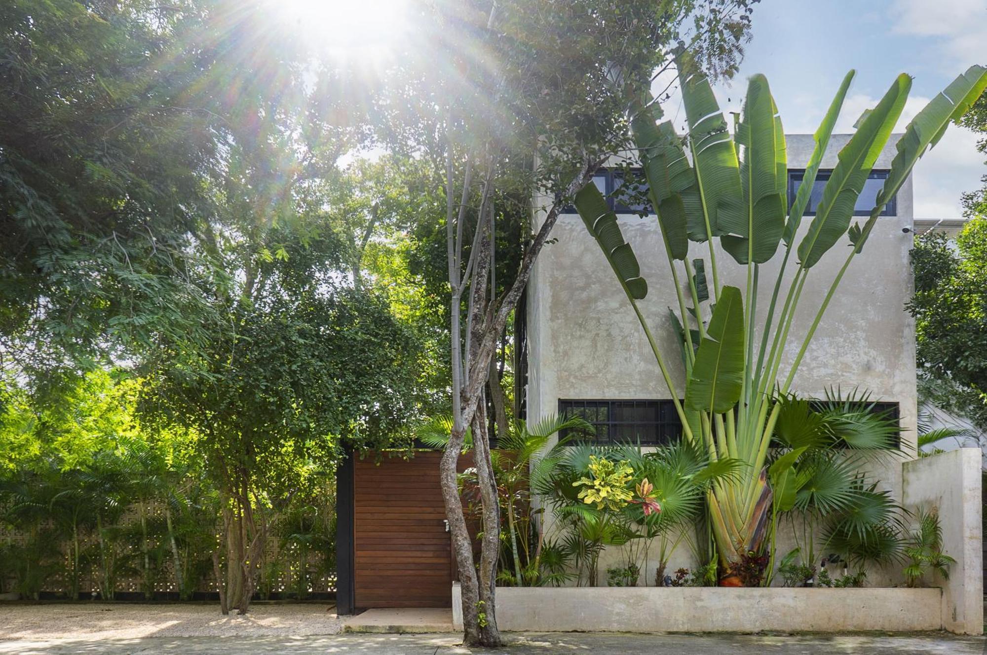 Lovely 4br Villa, Private Pool, Aldea Zama,concierge Service Villa Tulum