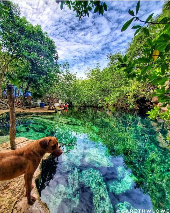 Apartment Kalet Tu Magico Lugar, Te Espera *