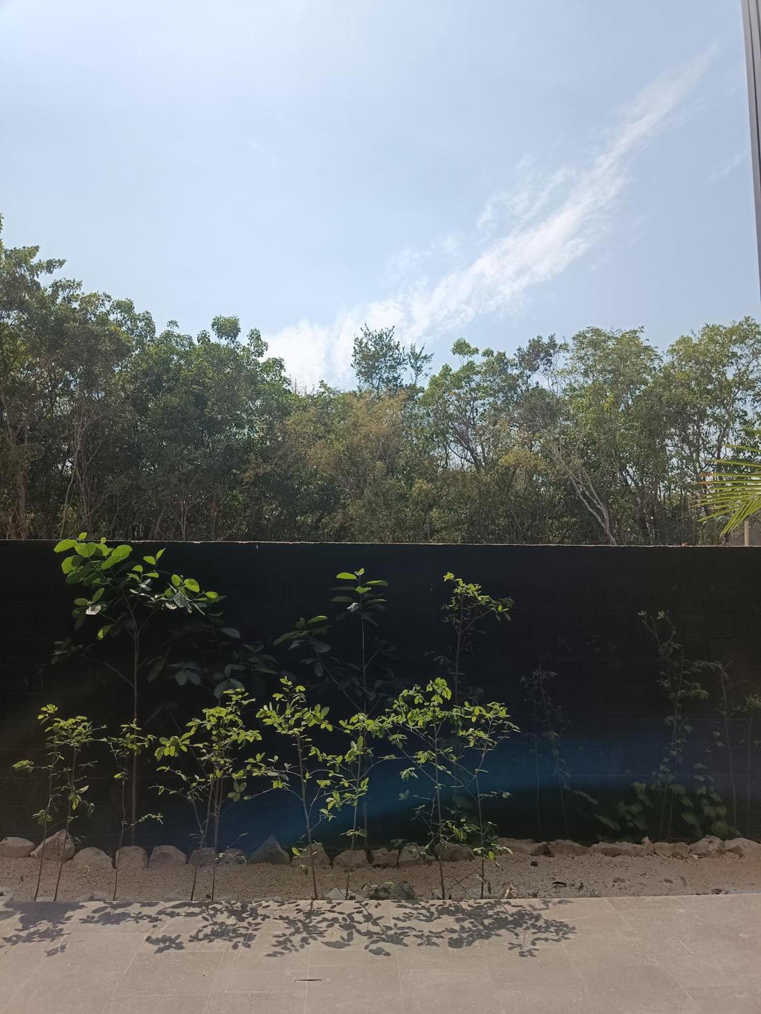 Departamento De 1 Hab Con Balcon En Zona Hotelera Ad Tulum