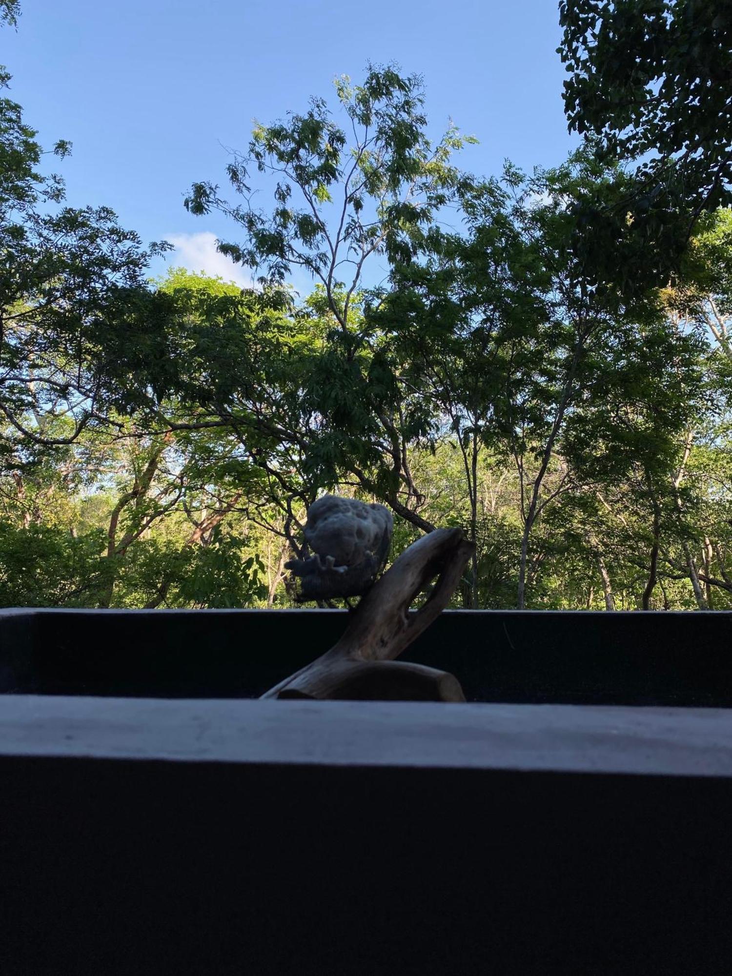 La Veleta Modern Jungle Living Apartment