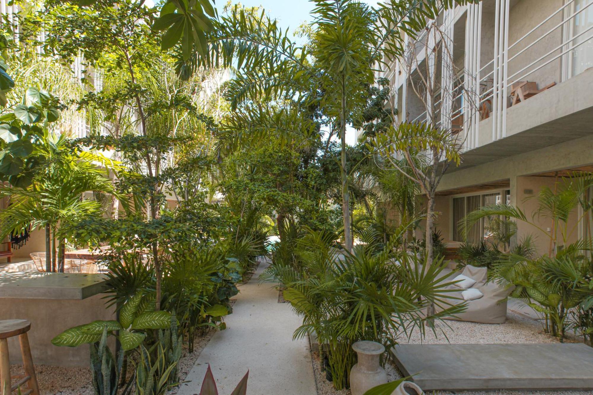 Jungle Chic Hotel Tulum