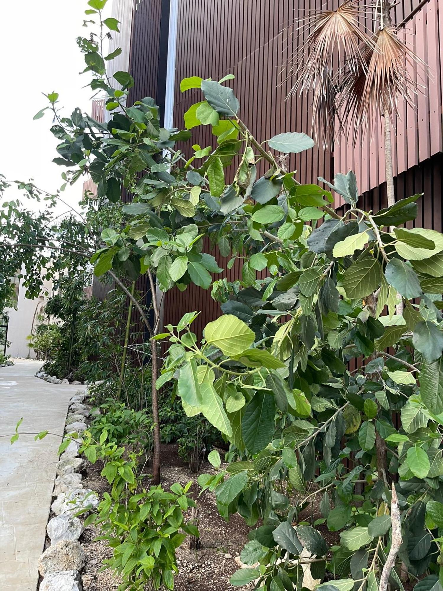 Arova By Seashore Cancun Apartment