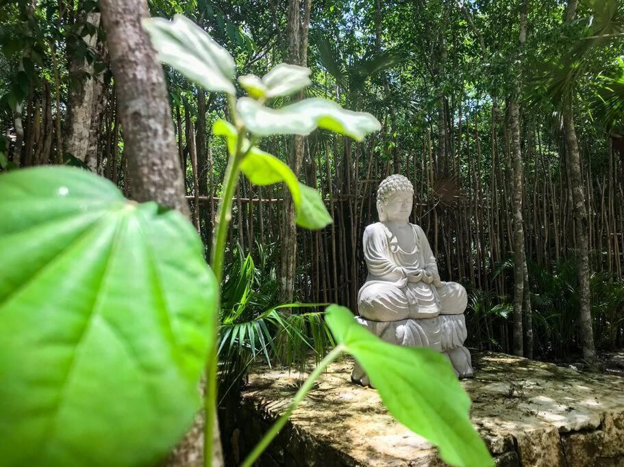 Designer Penthouse - Jungle Views, Bike To Apartment Tulum