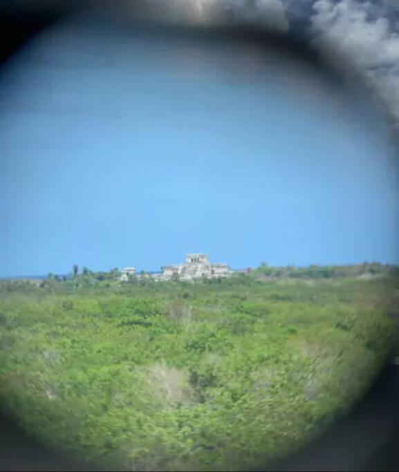 Luxury Villa, Club - Jungle View - Sahara Jade