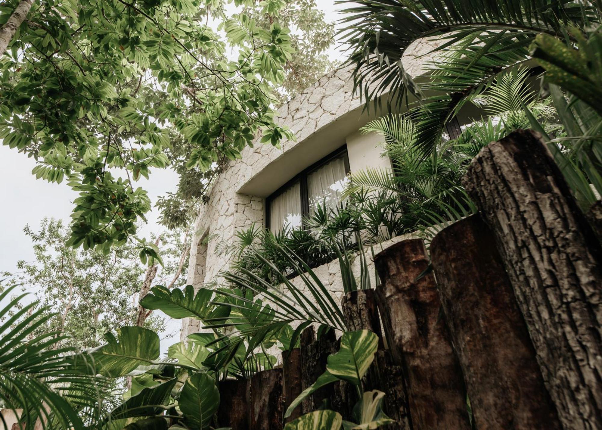 Jungle Boho Villa 