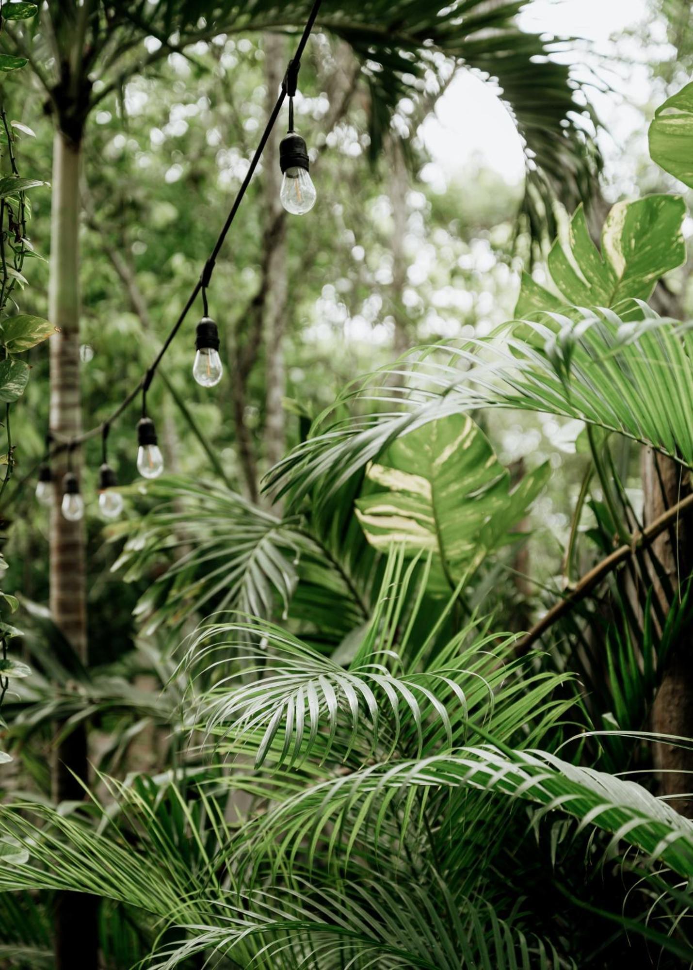 Jungle Boho Villa 