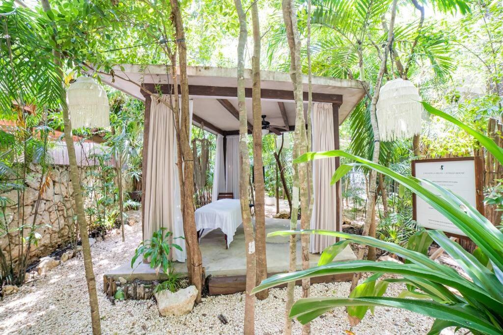 Exclusive Ph Art House Free Access 2 The Apartment *