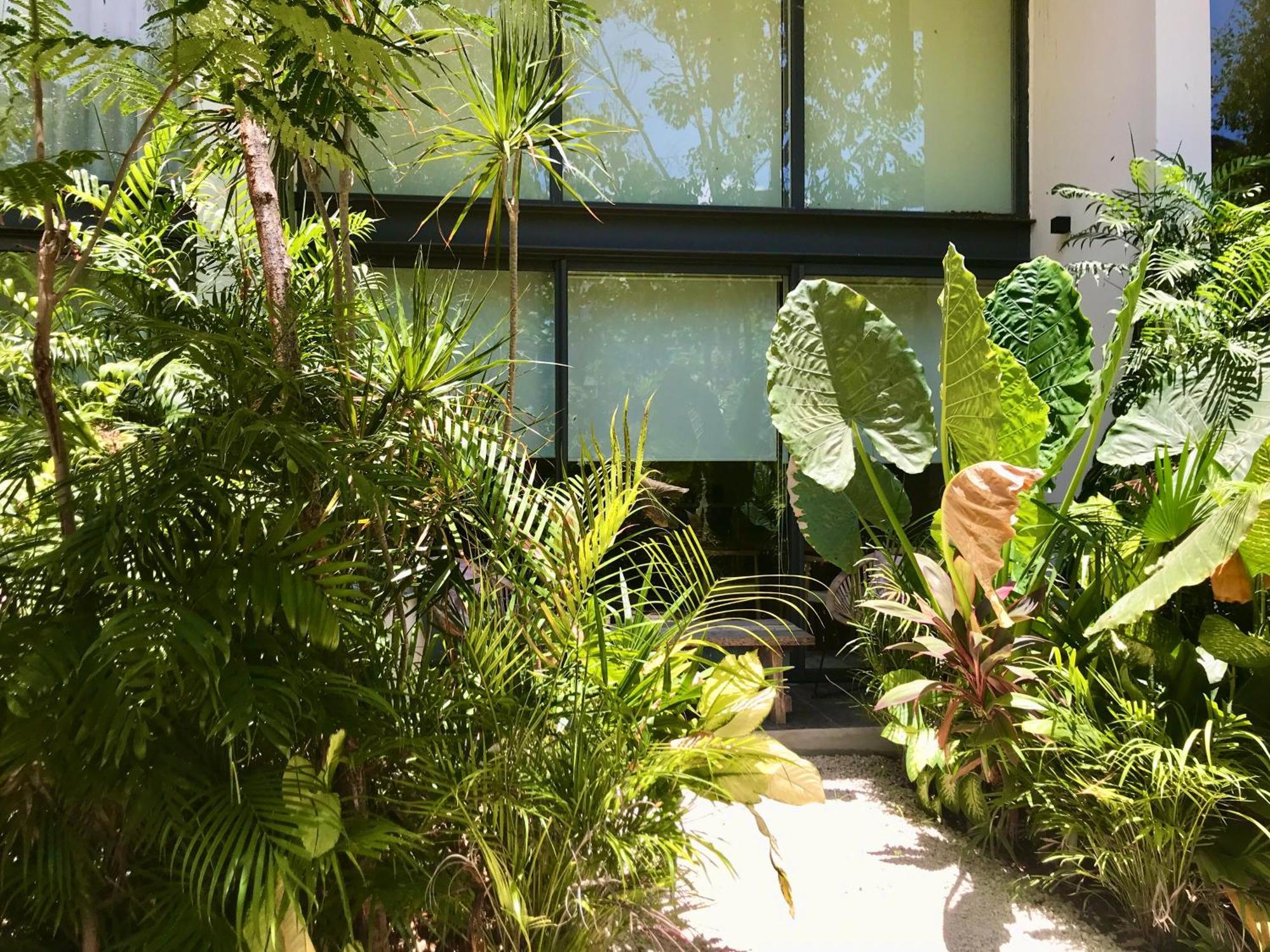 Casa Dith'cha Loft De Charme Dans Jardin Tropical Apartment *