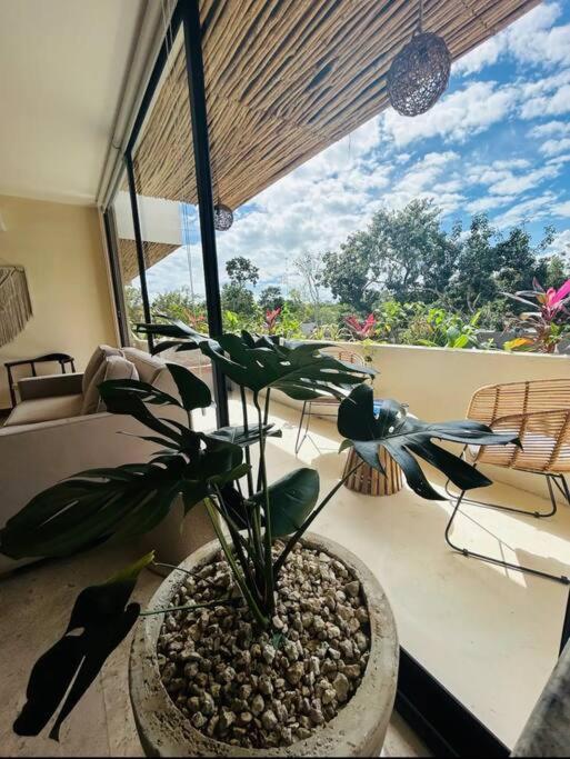 New Large Luxurious 1 Bedroom, 1 Bathroom In Apartment Tulum