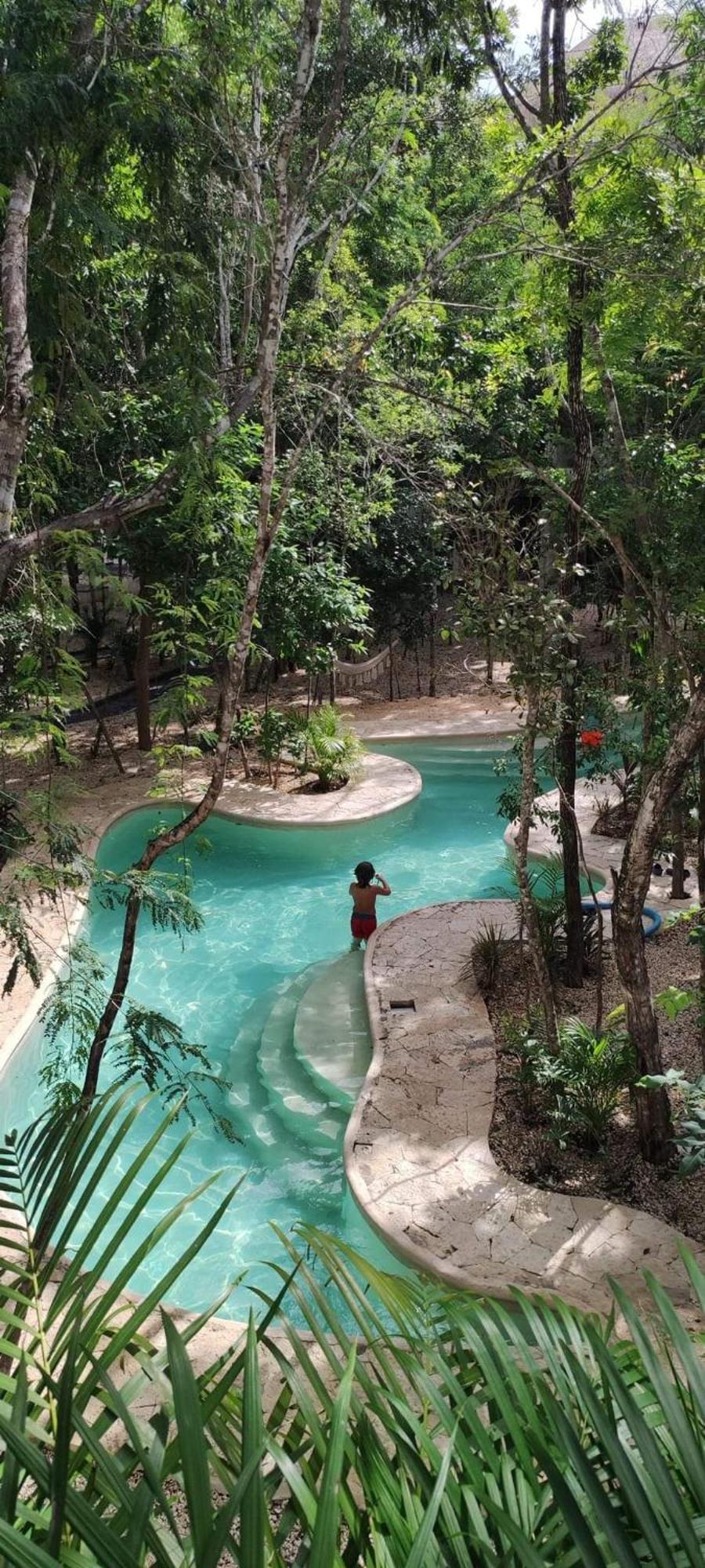 Apartment Jungle Oasis Studio: Beachside Retreat With Pool And Amenities *