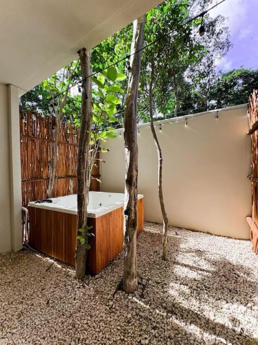 Apartment Estudio Bohemio Naia B8 *