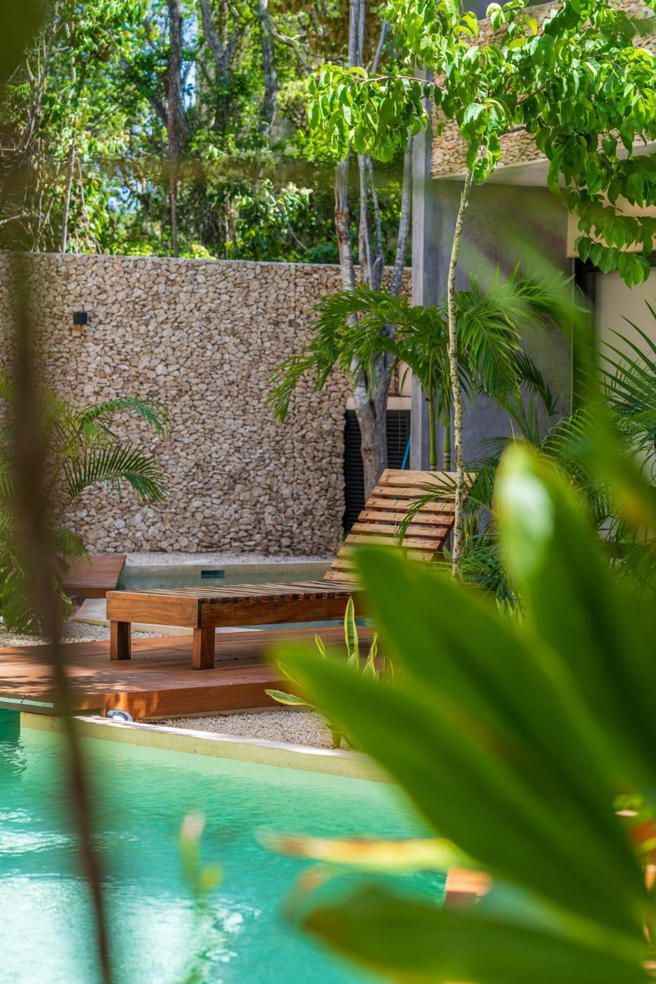 *jungle Ph W/pool, Close To Downtown & Apartment