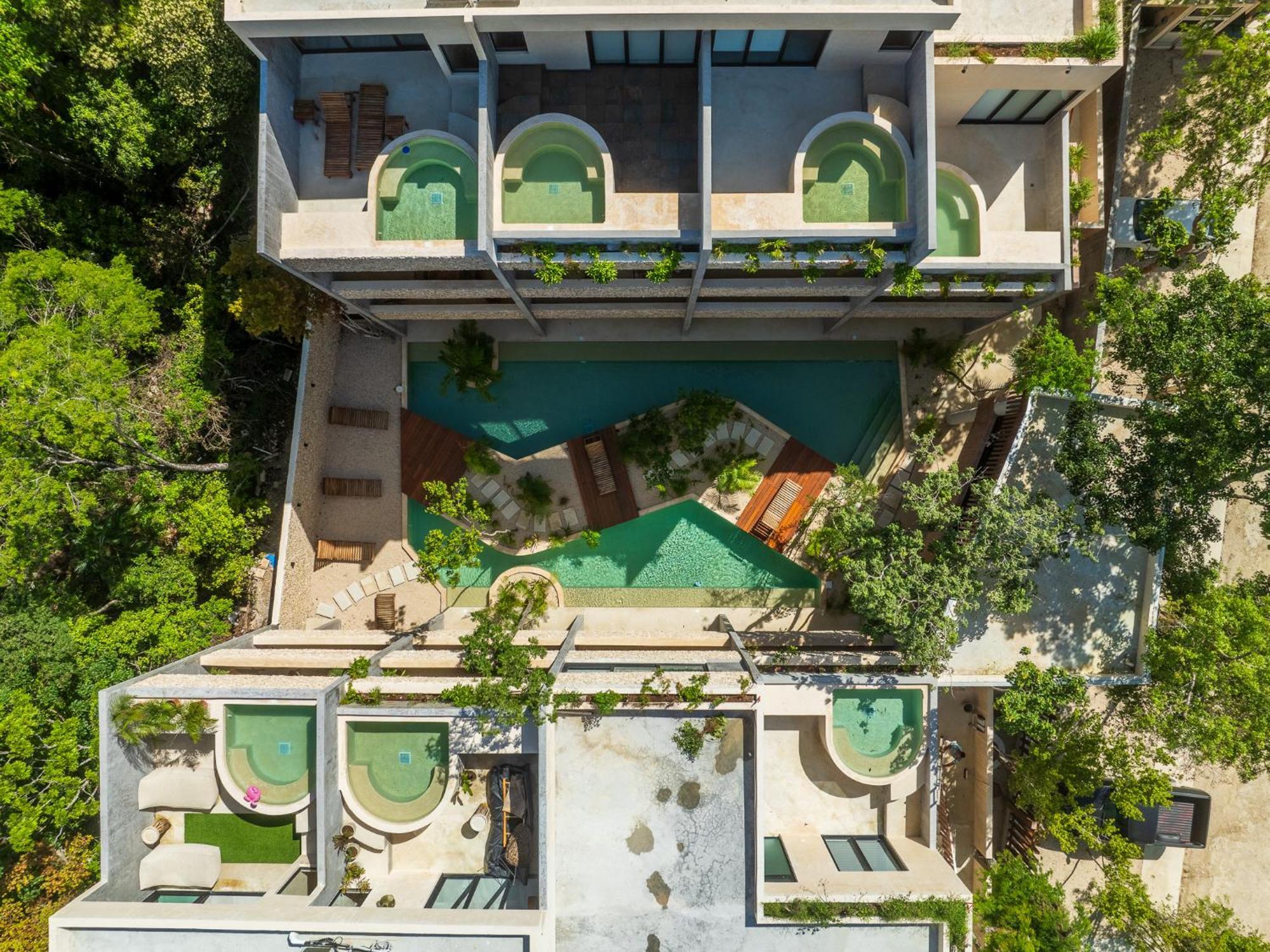 *jungle Ph W/pool, Close To Downtown & *