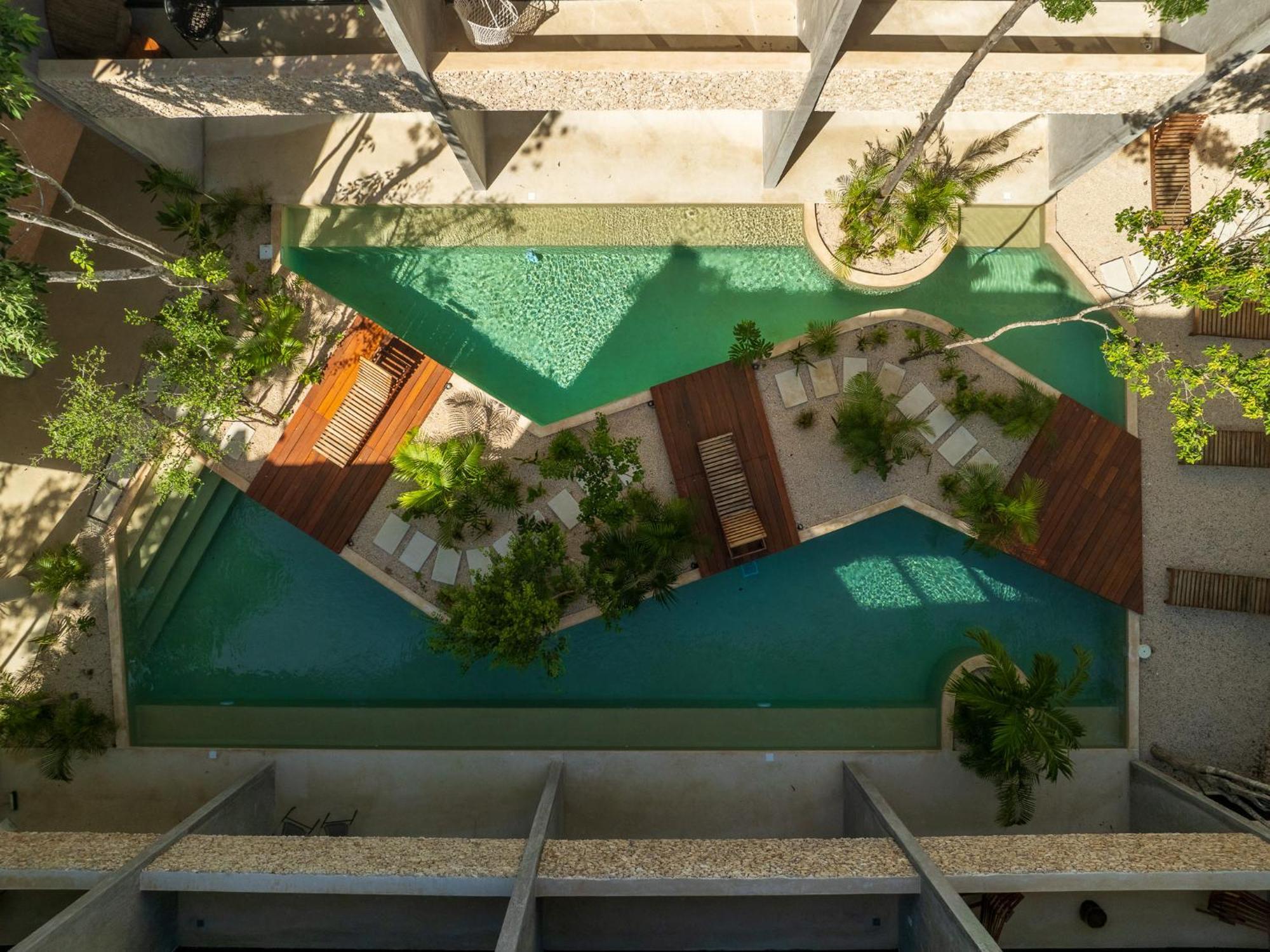 *jungle Ph W/pool, Close To Downtown & Tulum