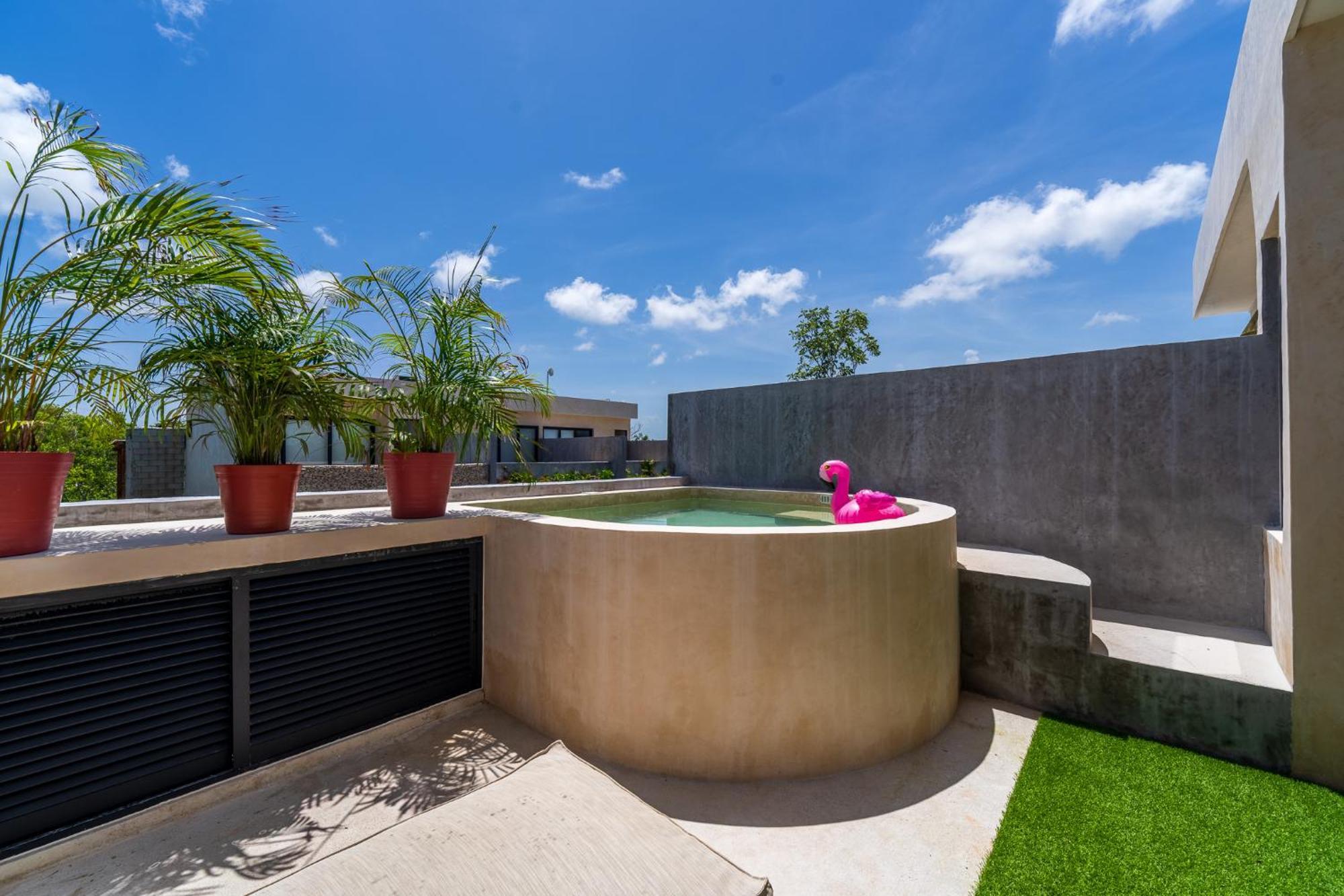 *jungle Ph W/pool, Close To Downtown &