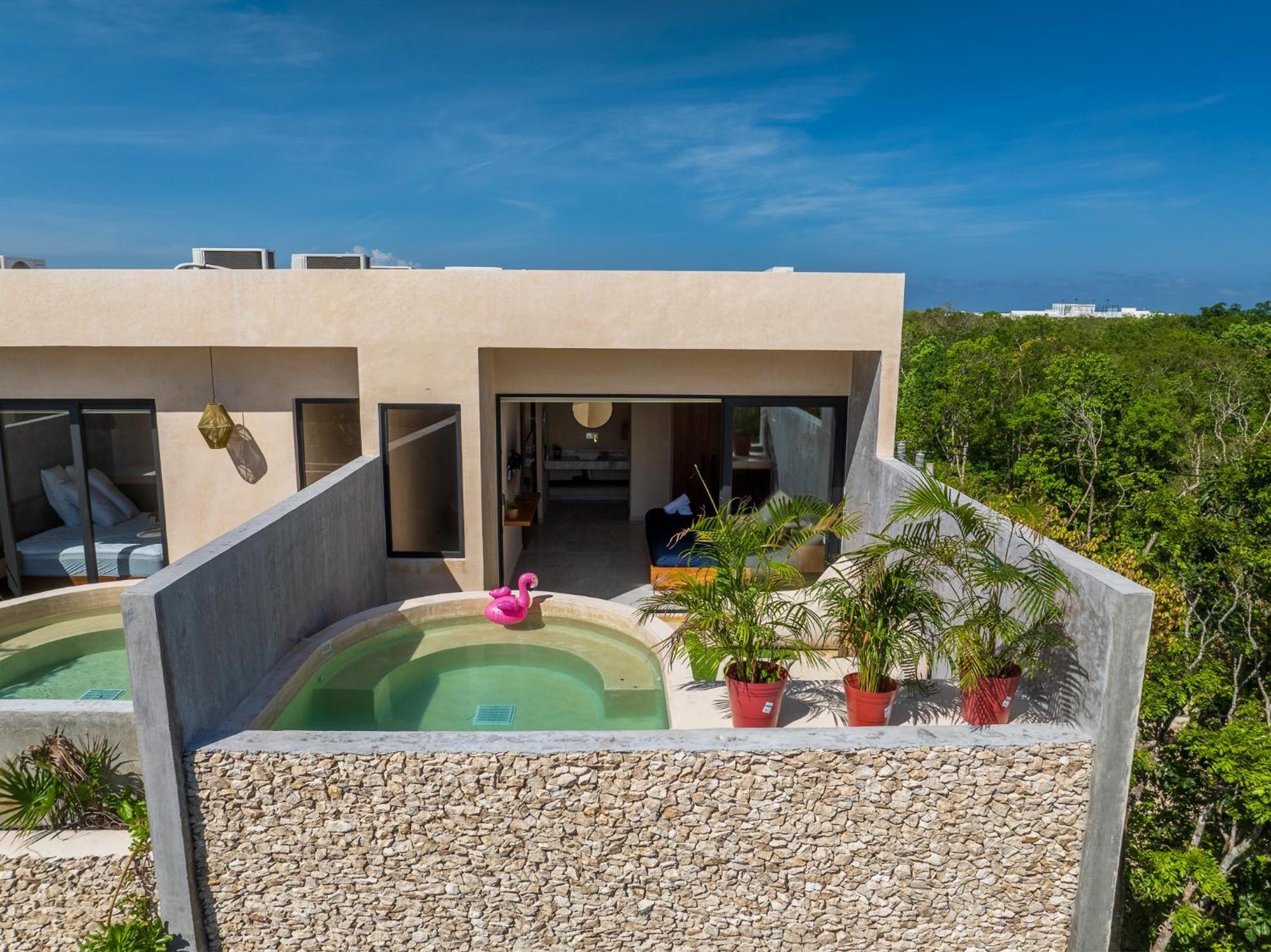 Apartment *jungle Ph W/pool, Close To Downtown &