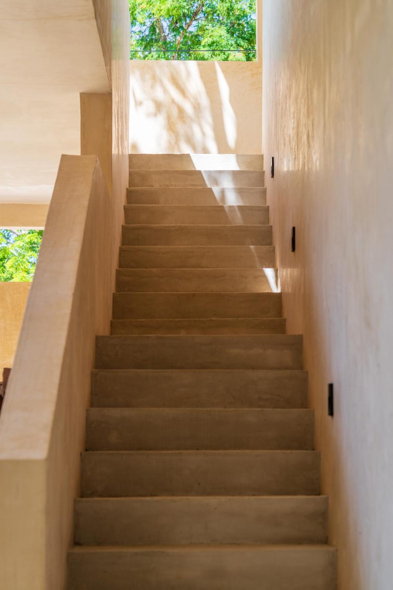 Apartment *jungle Ph W/pool, Close To Downtown & Tulum