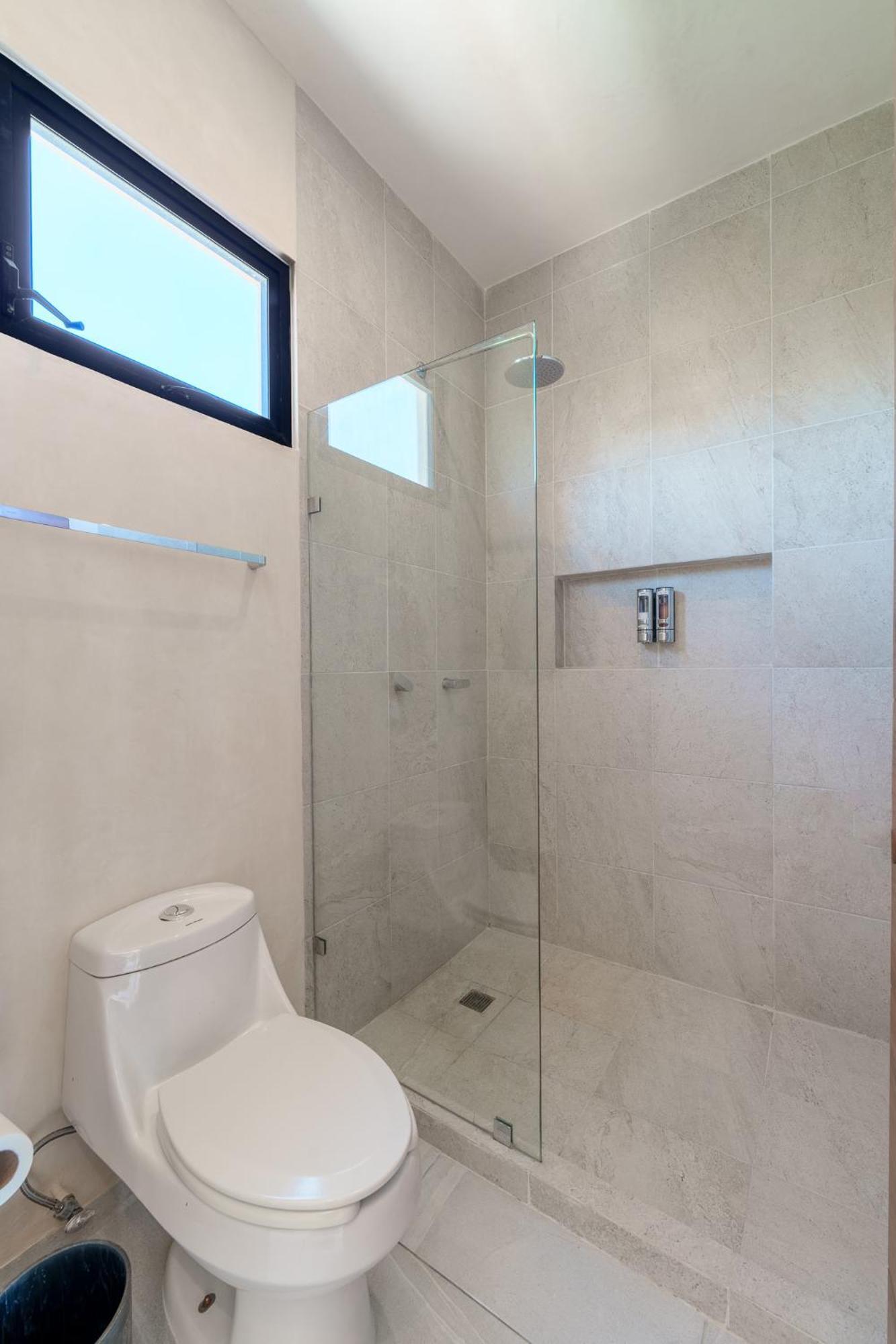 *jungle Ph W/pool, Close To Downtown & Apartment *