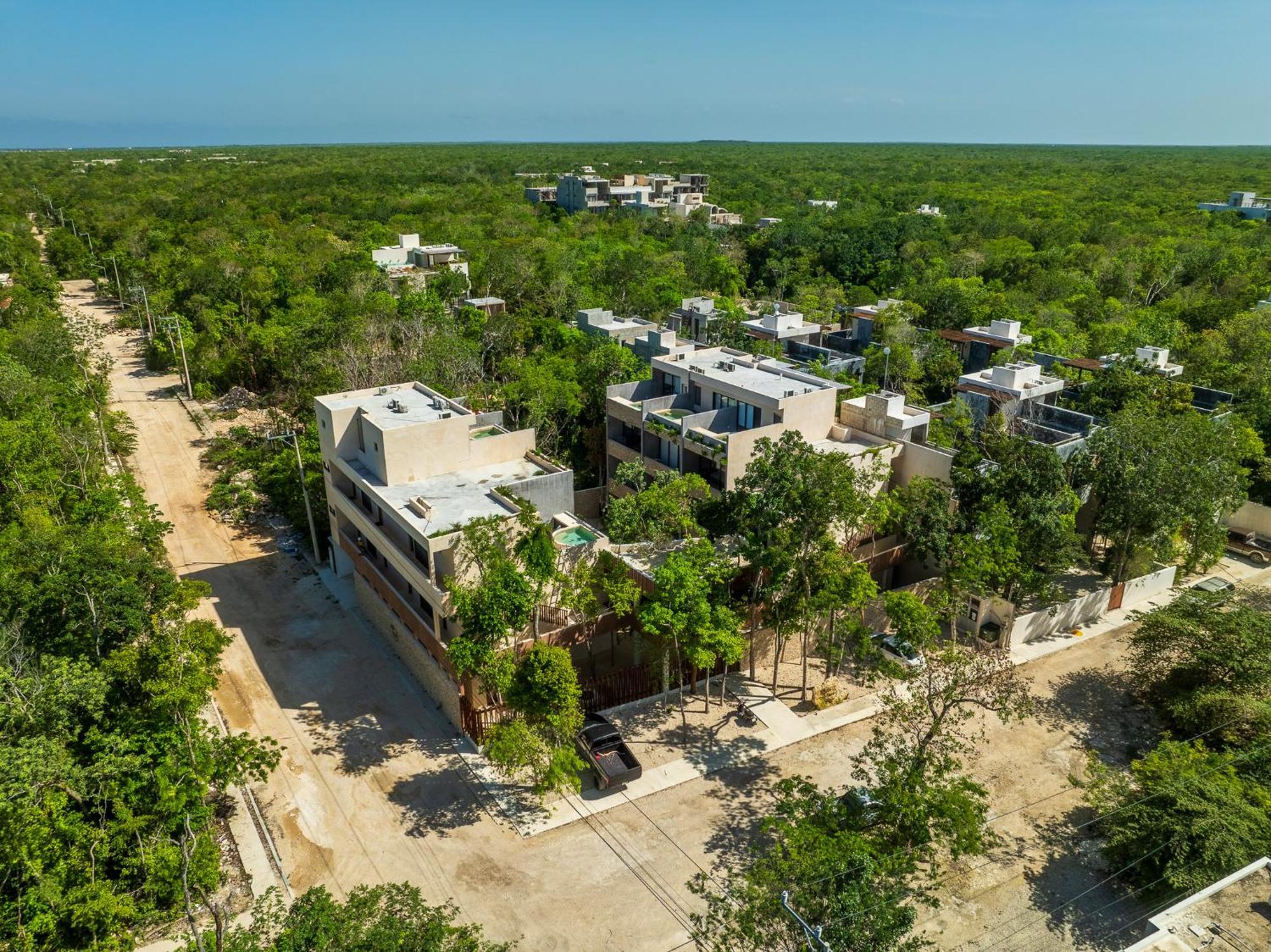 *jungle Ph W/pool, Close To Downtown & *