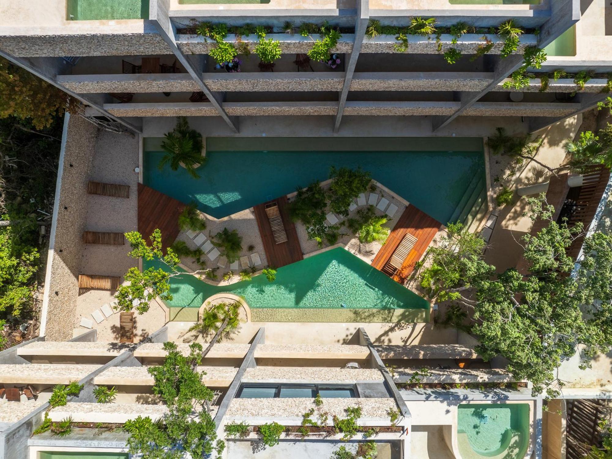 *jungle Ph W/pool, Close To Downtown & Tulum