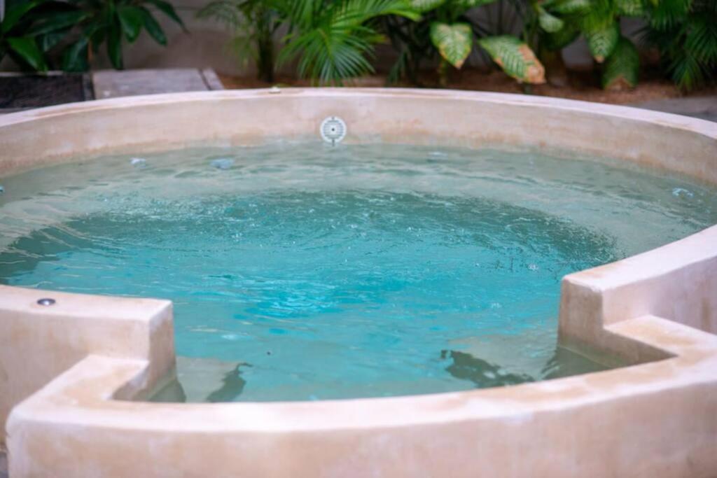 De Lujo En Con Jacuzzi Privado *
