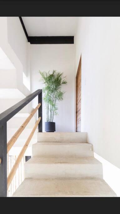 Apartment Luxury Penthouse 300m2 With Private Terrace & Pool