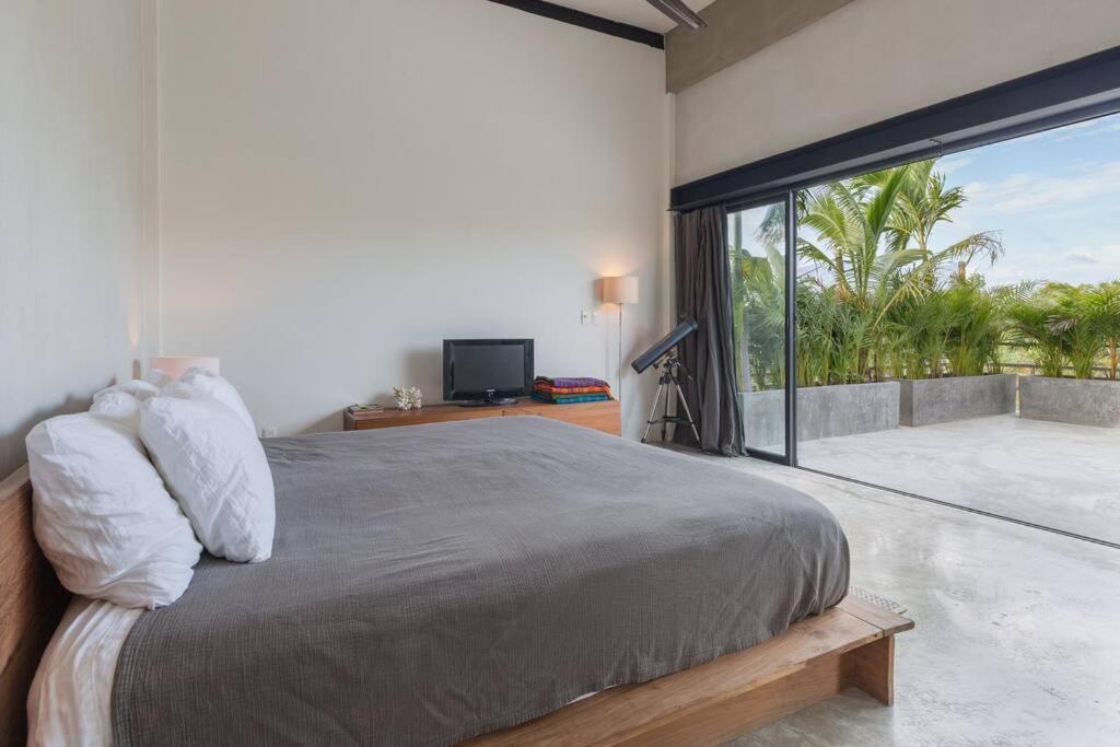 Apartment Luxury Penthouse 300m2 With Private Terrace & Pool Tulum
