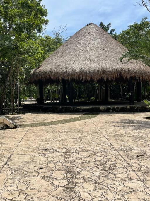 Apartment Penthouse Cerca De La Playa