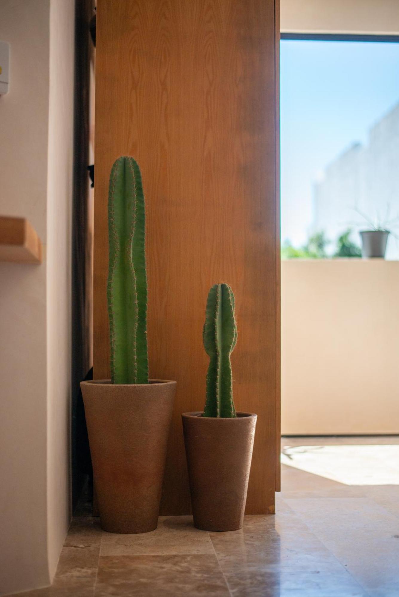 Apartamento A Sweet Jungle In Aldea Zama