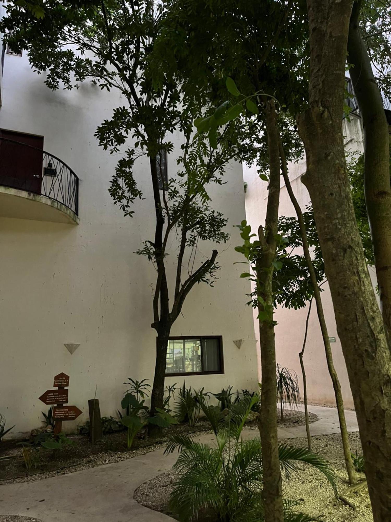 Apartment Centrico Y Espacioso *