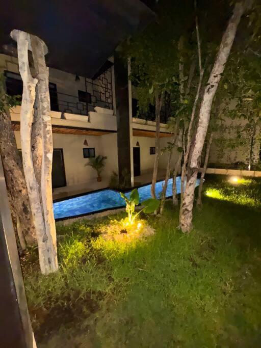 Jungle Penthouse W Private Rooftop, Ac And Wifi *