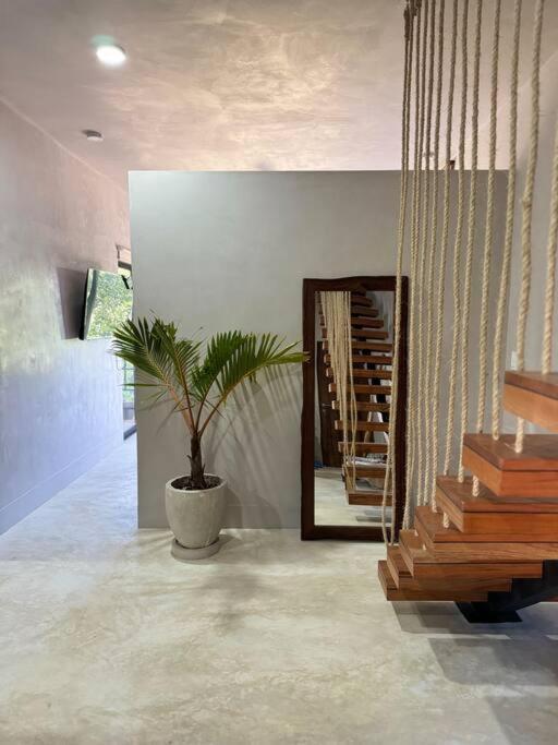 Apartment Jungle Penthouse W Private Rooftop, Ac And Wifi *