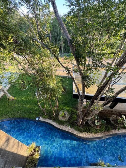 Jungle Ph Private Rooftop & Plunge Pool Ac Wifi *