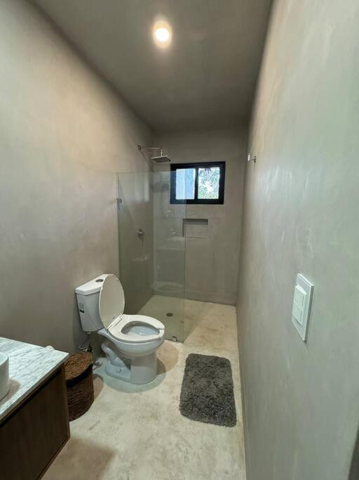 Apartment Jungle Penthouse W Private Rooftop, Ac And Wifi
