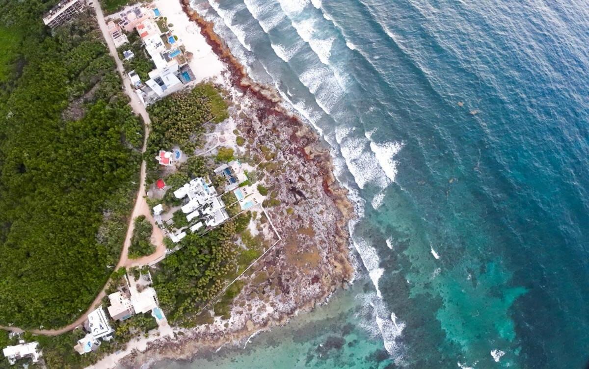 Dream Oceanview 4br At Tankah Bay Tulum