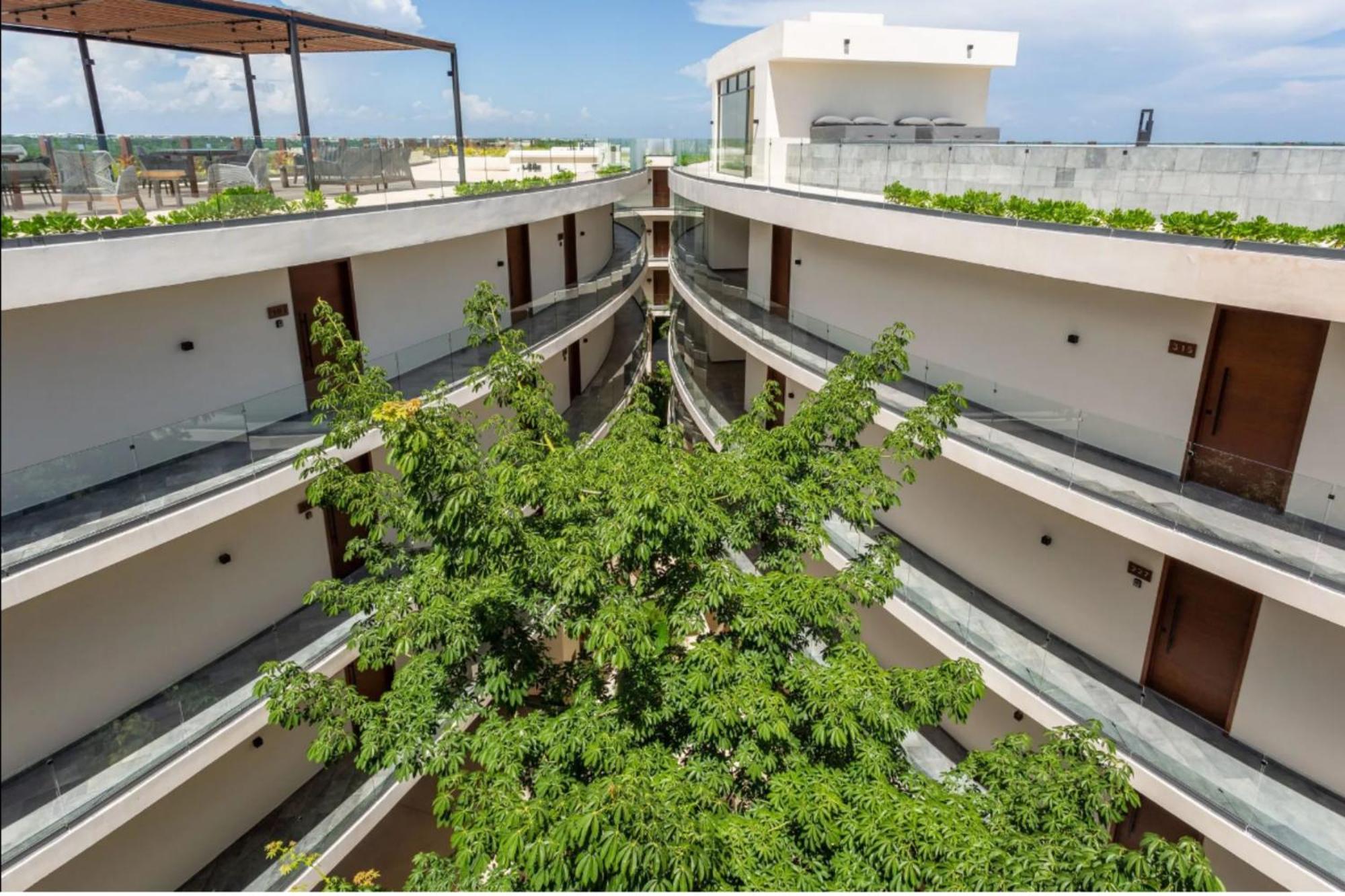 Ixmali, Jungle Avec Vue Proche De La *