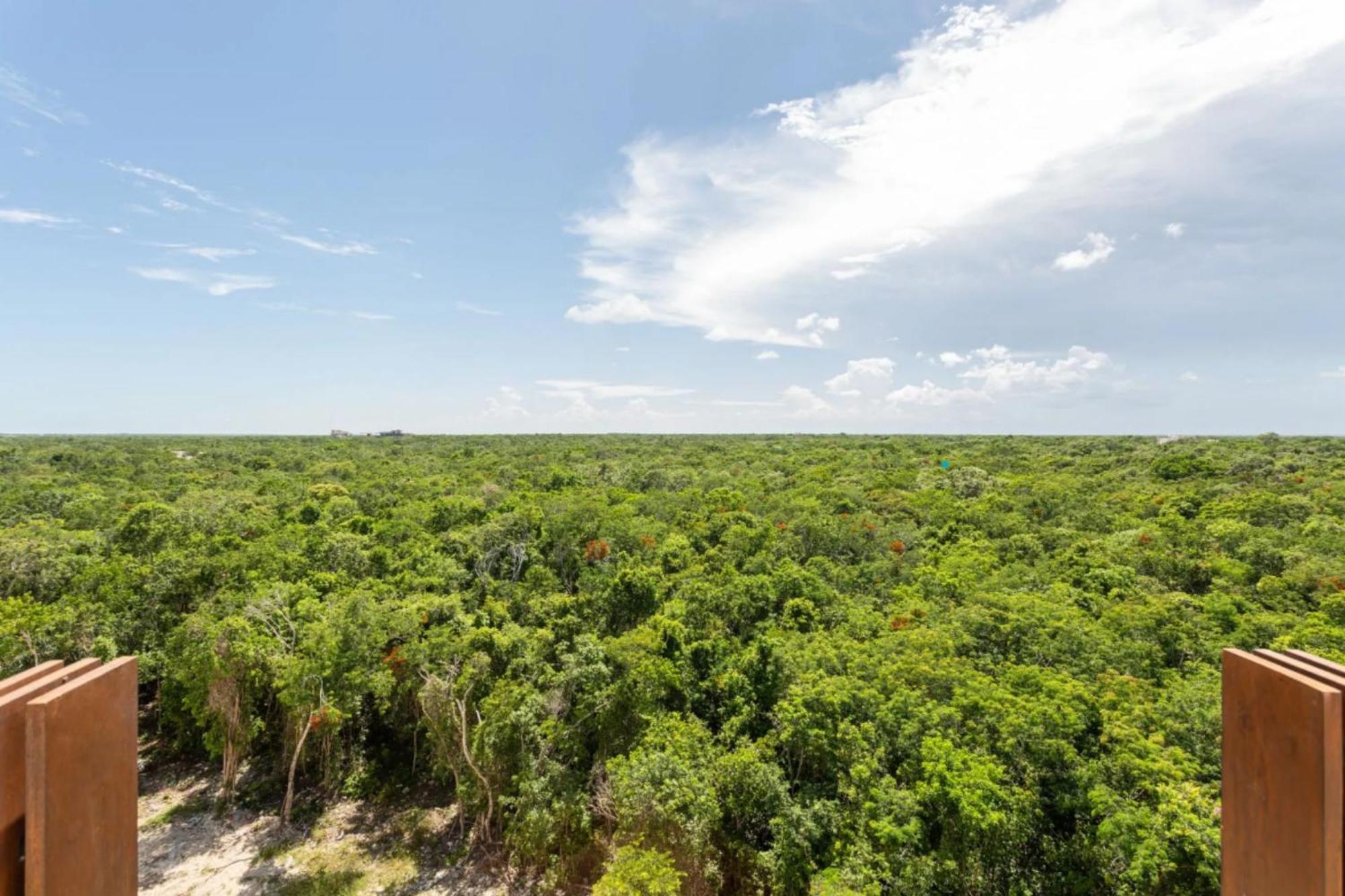 Ixmali, Jungle Avec Vue Proche De La Apartment