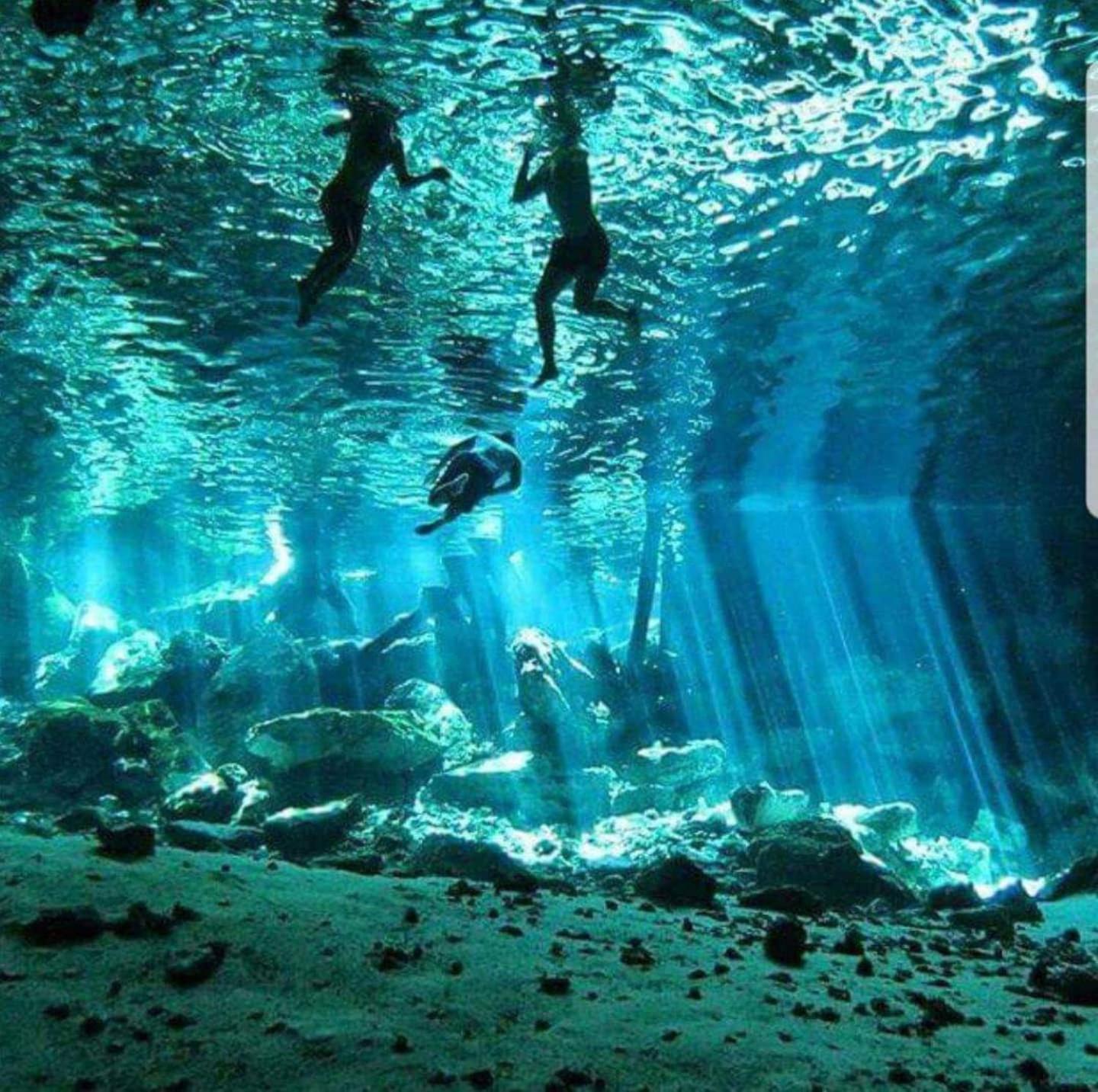 Luxury tent Loft In Cenotes Natural Park