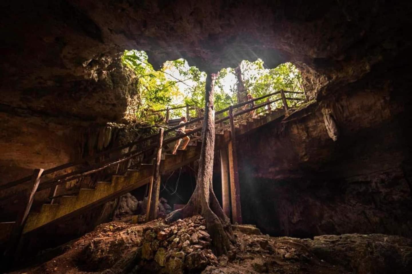 Loft In Cenotes Natural Park * Tulum