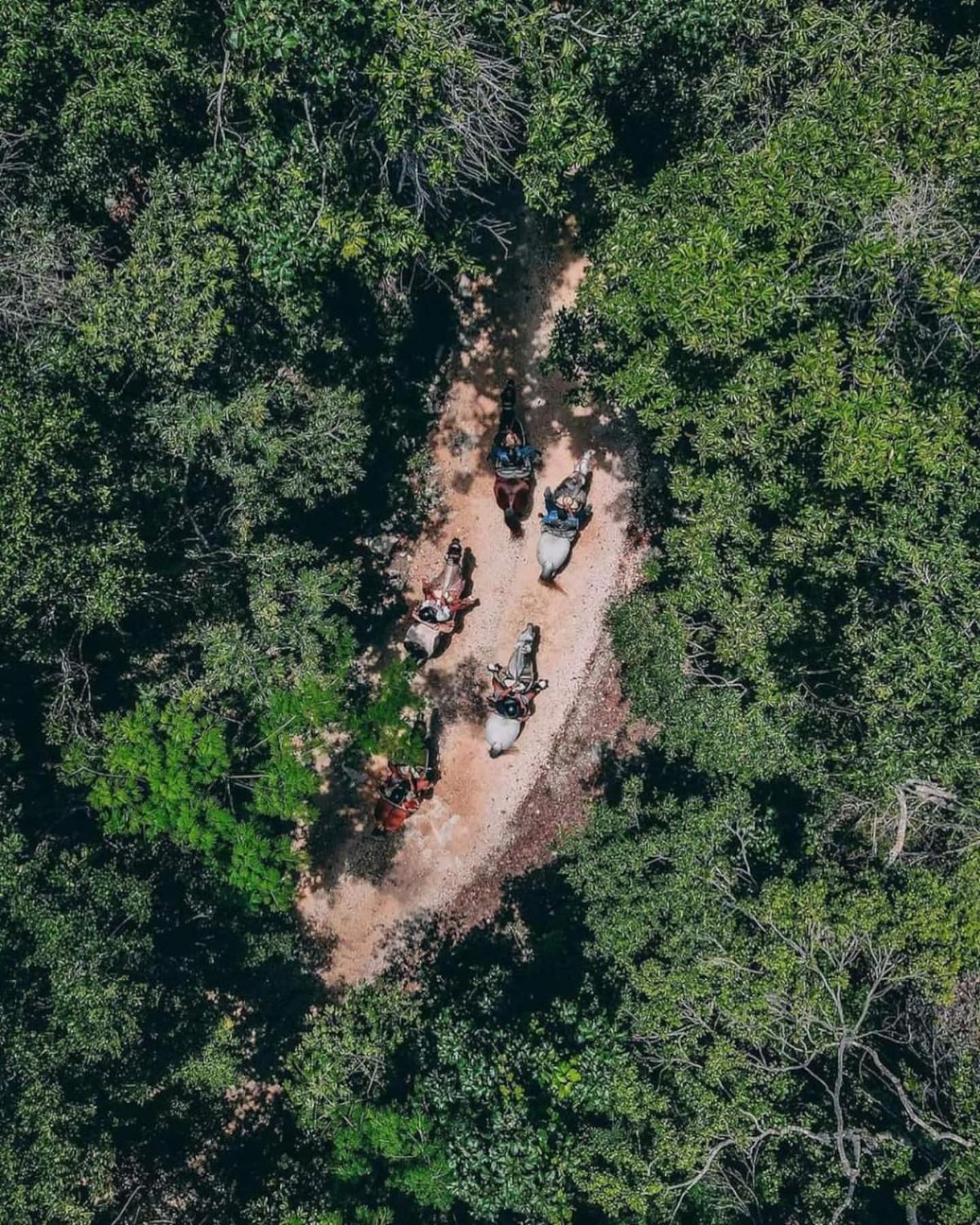 Loft In Cenotes Natural Park Luxury tent Tulum