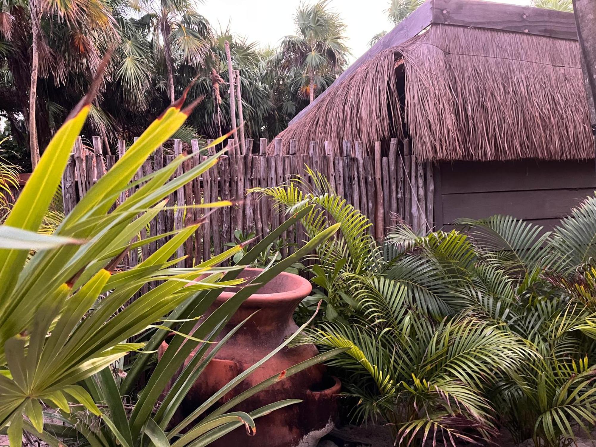 Amana , Front * Tulum