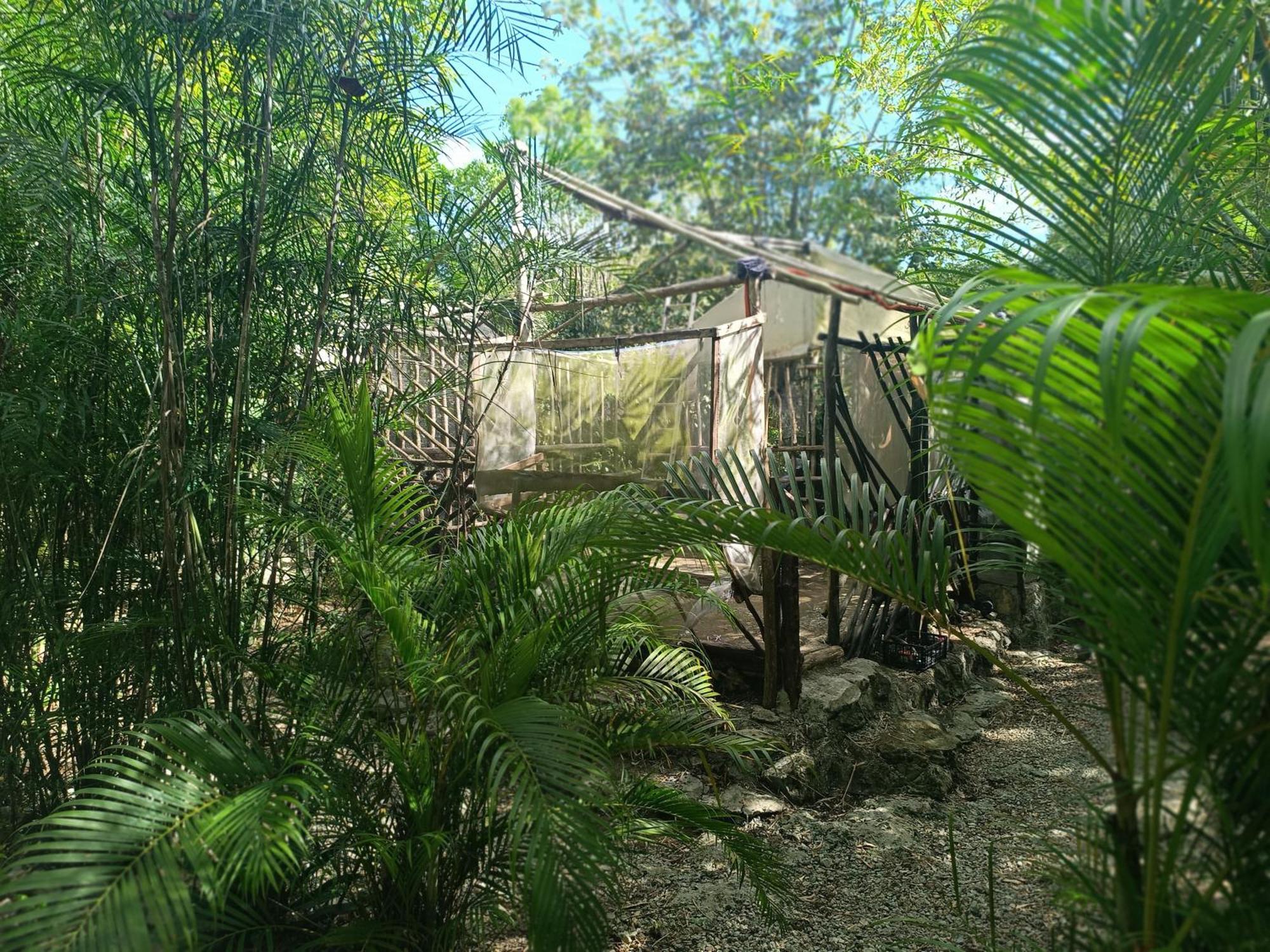 Space For Your Tent * Tulum