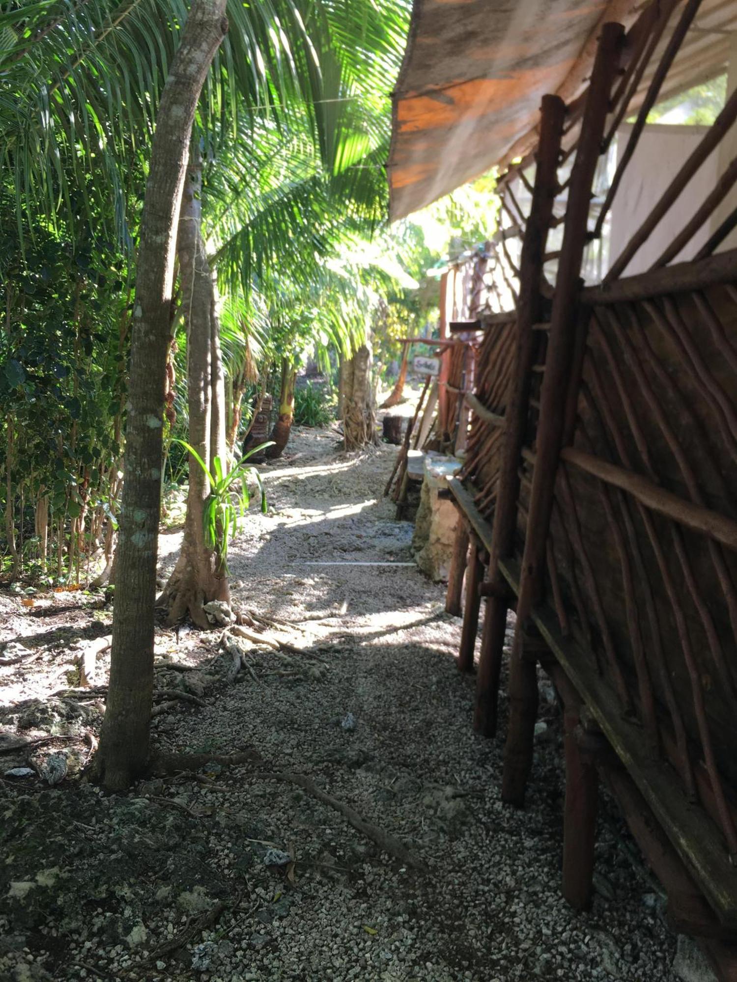 Space For Your Tent Tulum
