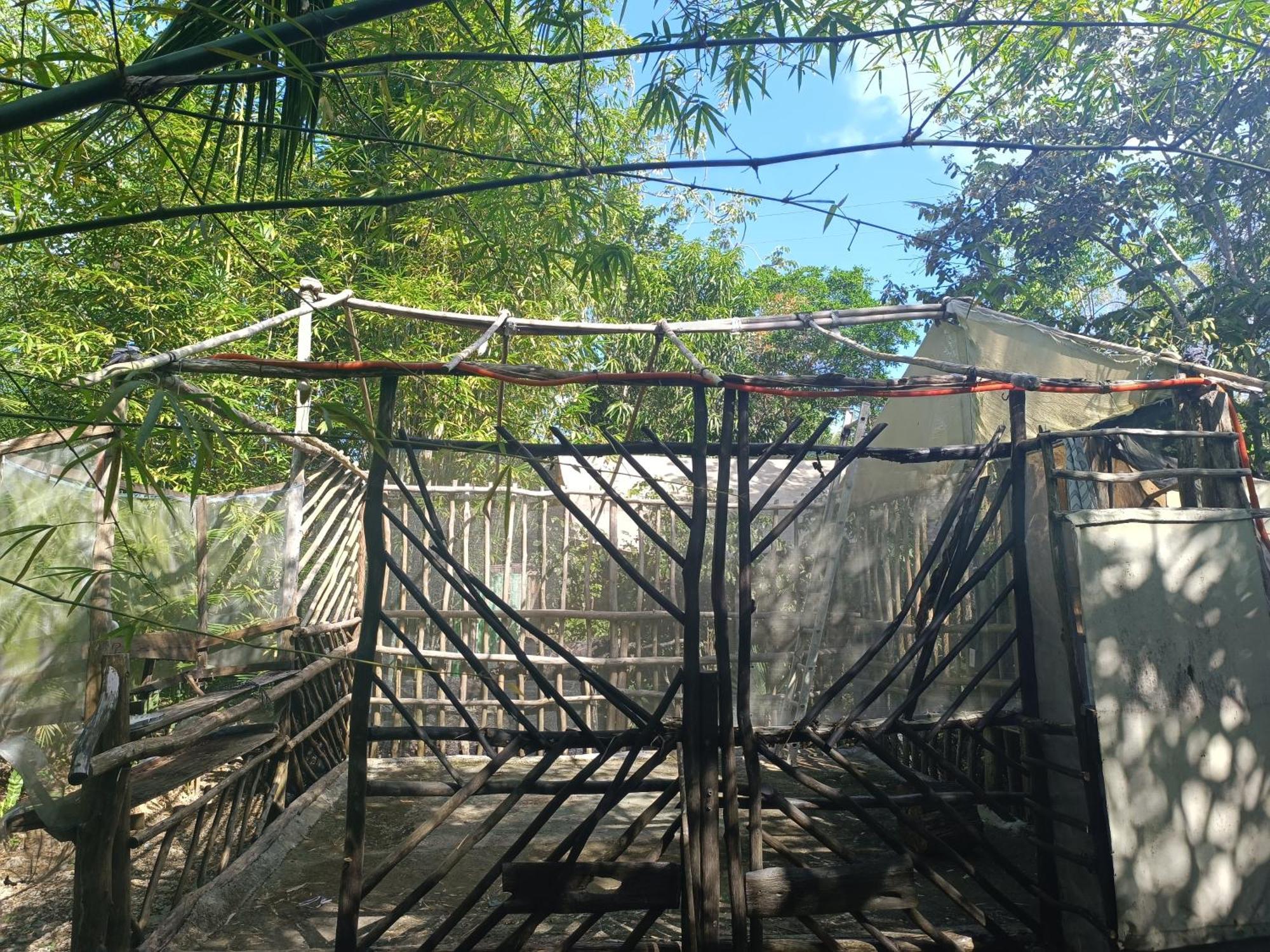 Campsite Space For Your Tent Tulum